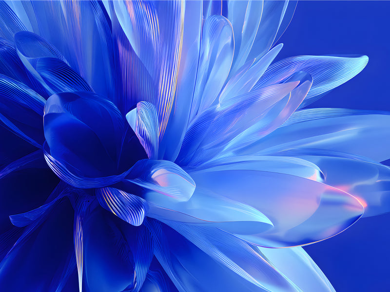 shopify web development company